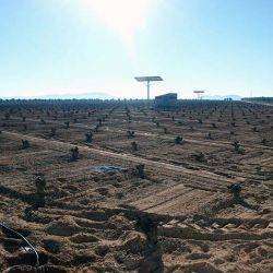 España Camuñas Enero 2016