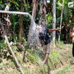 Indonésie Warung Gunung Novembre 2016