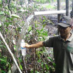 Indonésie Panjehang, Kec.Rakumpit, Kota Palangkaraya Novembre 2016