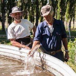 Argentina Paso del Sapo Noviembre 2016