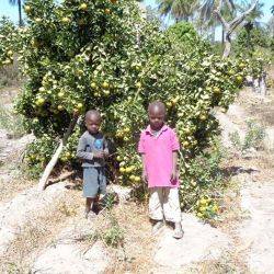 Senegal Kafountine January 2017