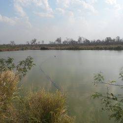 Paraguay Bahía Negra Agosto 2016