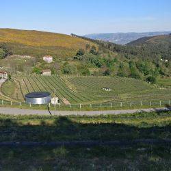 Portugal Baião Abril 2017