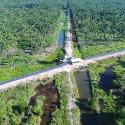 Indonésie Sungai Buaya Aout 2017