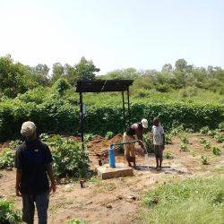 Senegal Toubab Dialaw October 2017
