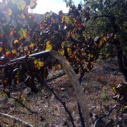 España Uleila del Campo Octubre 2017