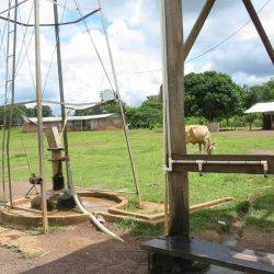 Guayana Noviembre 2003