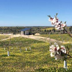 España Navas Del Madroño Marzo 2018