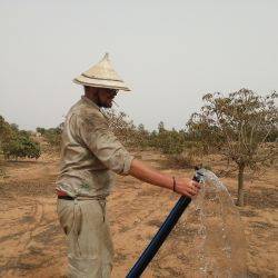 Senegal Mboro May 2018
