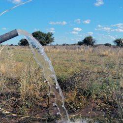 Argentina La Pampa Febrero 2014