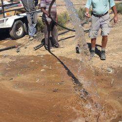 Afrique du Sud Eastern Cape Avril 2014