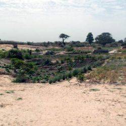 Senegal Thiès Abril 2014