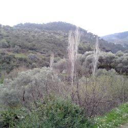 Turquie Aydin Mai 2014