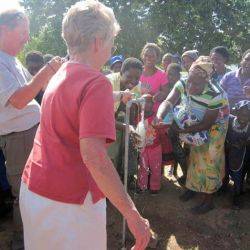 Zimbabwe Harare Juillet 2014