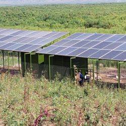 Ruanda Ngoma district, Rukumberi sector Agosto 2019