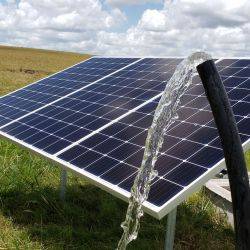 Uruguay CERRO PELADO Enero 2020