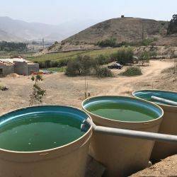 Perú Pachacamac Octubre 2020