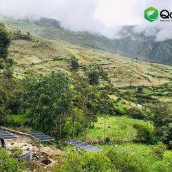 Perú Rayme Alto Enero 2021