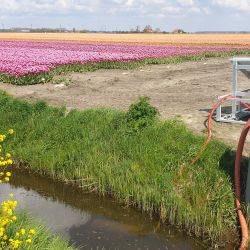 Países Bajos Oude-Tonge Marzo 2021