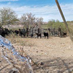 México Hermosillo Abril 2021