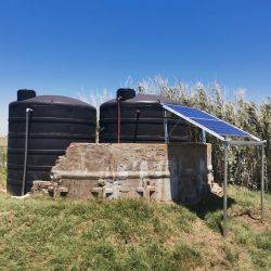 Argentina Bunge Noviembre 2021