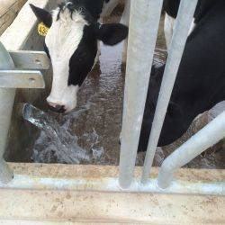 Perú Estancia Santa Fe Septiembre 2015