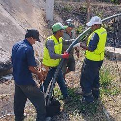 Perú Sector Canario Agosto 2024