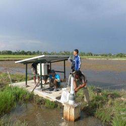 Indonésie Kalimantan Aout 2015