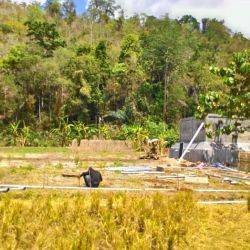Indonésie Kendari Decembre 2015