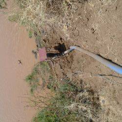 Etiopía SNNP Region Dasenech Wereda Along Omo River Marzo 2016