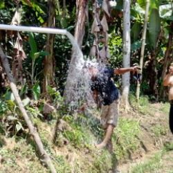 Indonésie Warung Gunung Novembre 2016