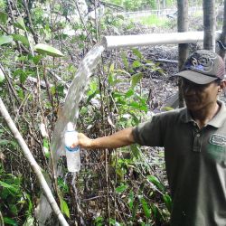 Indonesia Panjehang, Kec.Rakumpit, Kota Palangkaraya November 2016