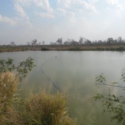 Paraguay Bahía Negra Aout 2016