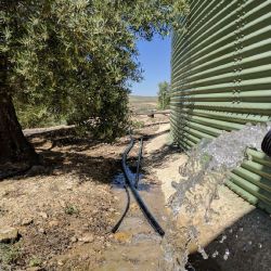 Spain Las Infantas May 2017