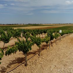 Spain Santa Cruz De La Zarza June 2017