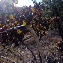 Espanha Uleila del Campo Outubro 2017