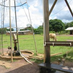 Guyane Novembre 2003