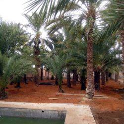 Marruecos Figuig Abril 2012