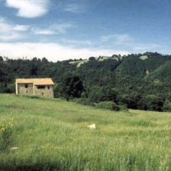 Itália Tuscany Julho 2012
