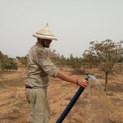 Senegal Mboro May 2018