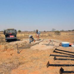 Botsuana Central Kalahari District Outubro 2012