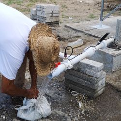 México El Nanche Setembro 2018