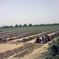 Paquistăo Punjab Maio 2013