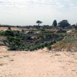 Senegal Thiès Abril 2014