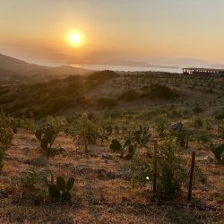 Greece Stira July 2020