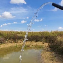 Geórgia Sabirkendi Outubro 2020