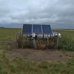 Uruguay Tarariras Marzo 2021