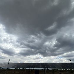 Malaui Ndanga Novembro 2024