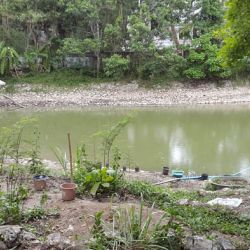 Thaïlande Chiang Mai Juillet 2015