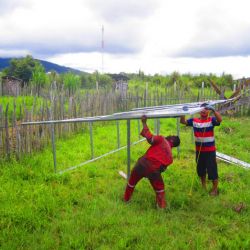 Indonesia Papua September 2015
